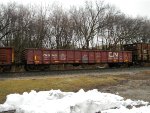 CN 137422 is new to RRPA!